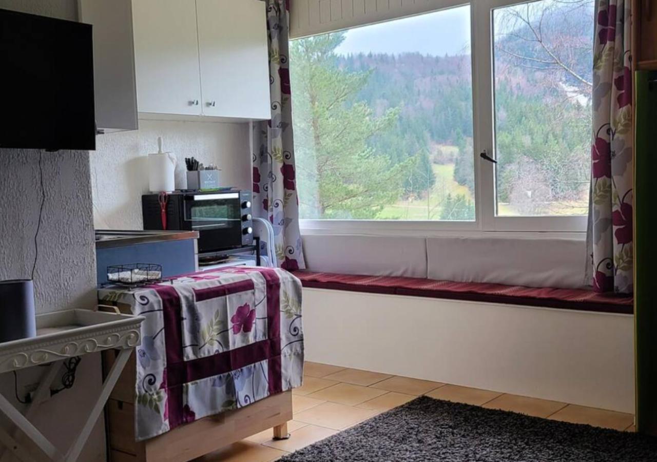 Studio Agreable Et Lumineux Villard-de-Lans Extérieur photo